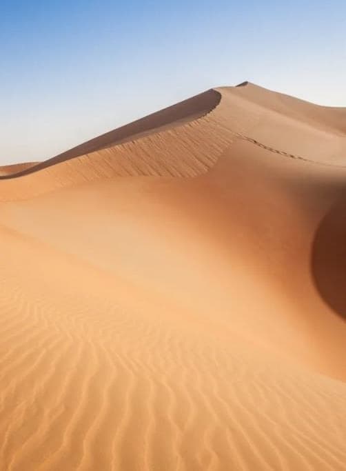 Cholistan Desert Safari Guide