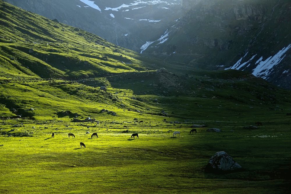 Discover the Enchanting Beauty of Shounter Valley Azad Kashmir
