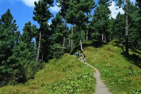 Experience the Miranjani Trek: A Hidden Gem in Abbottabad, Pakistan