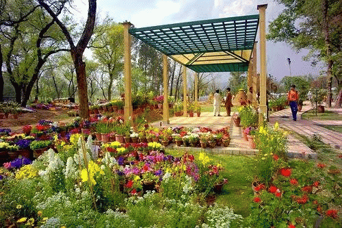 Rose And Jasmine Garden: A Fragrant Paradise In The Heart Of Islamabad