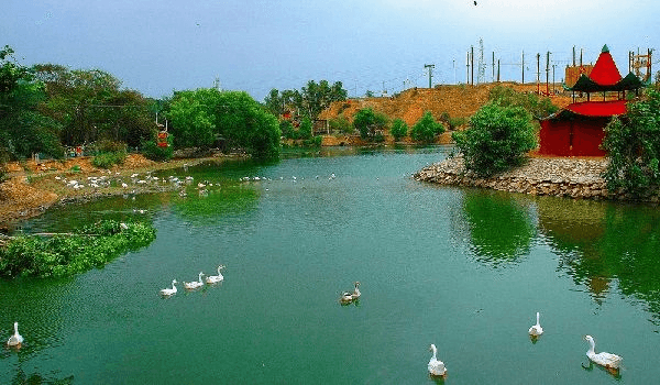 Top 5 Safari Parks In Pakistan: Explore Wildlife Like Never Before